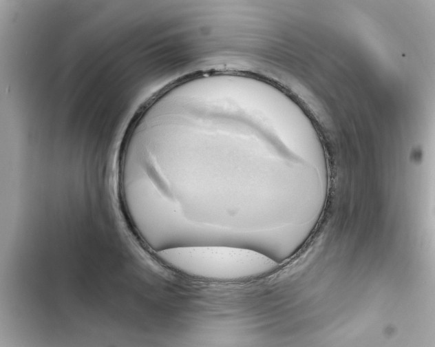 X0000102410840200808152003