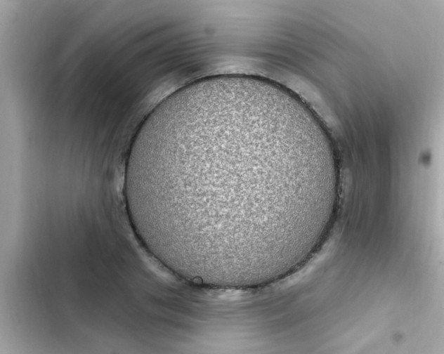 X0000102410841200808152003