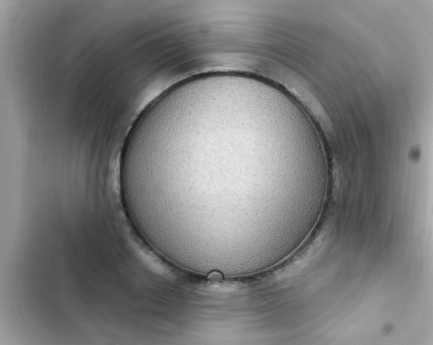 X0000102410842200808152003