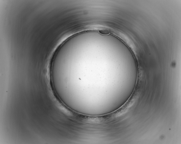 X0000102410843200808152003