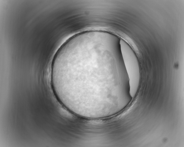 X0000102410844200808152003