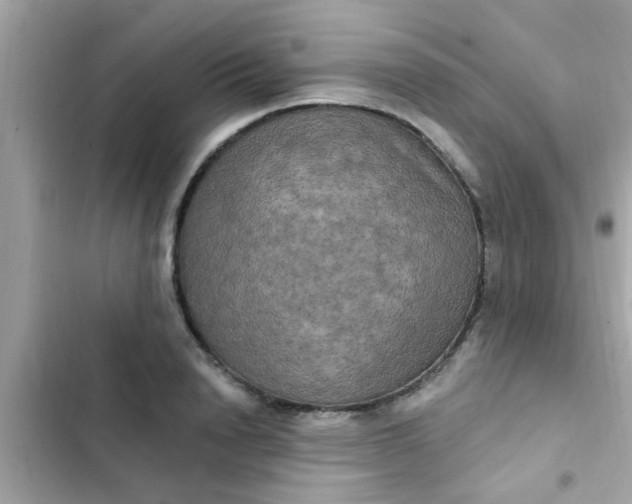 X0000102410846200808152003