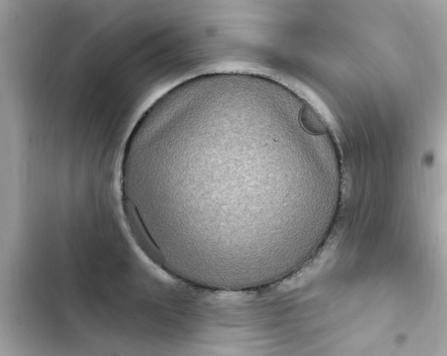 X0000102410847200808152003