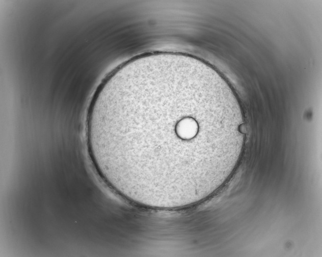 X0000102410848200808152003