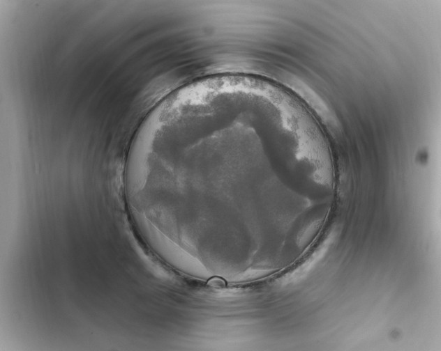 X0000102410849200808152004