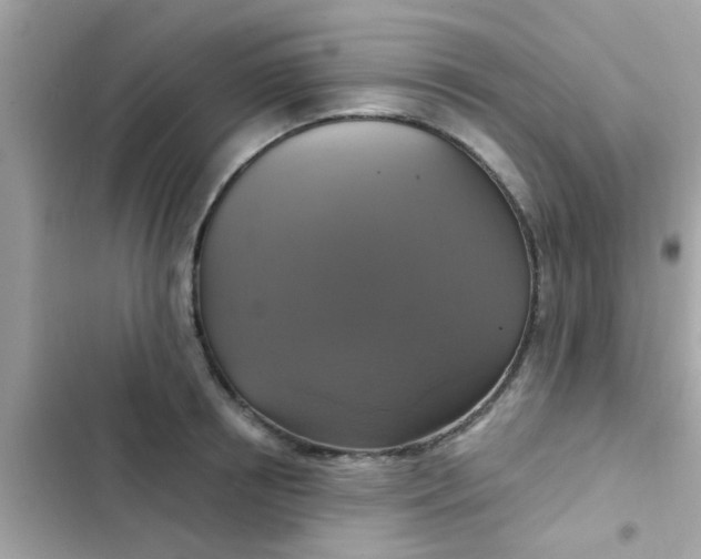 X0000102410850200808152004