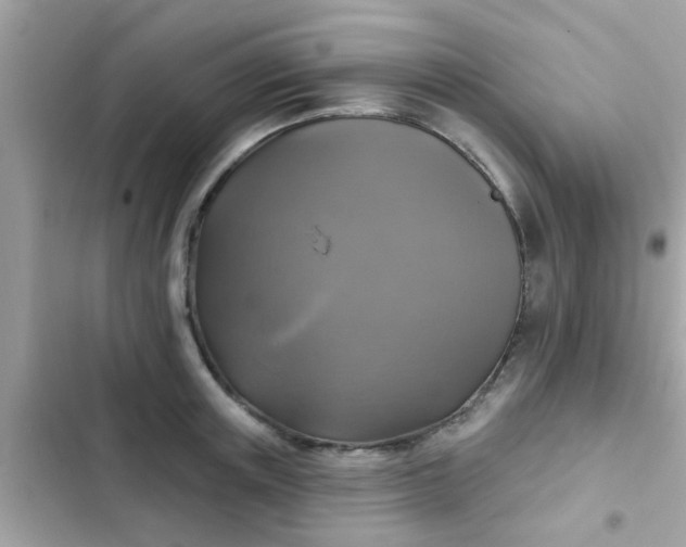 X0000102410851200808152004