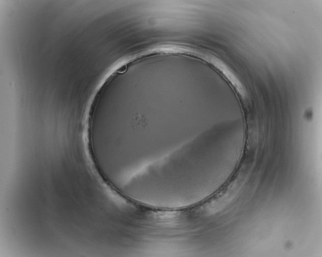 X0000102410853200808152004