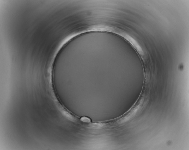 X0000102410854200808152004