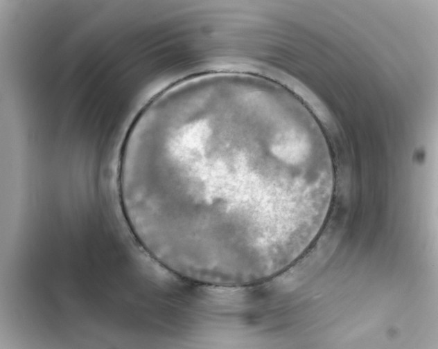 X0000102410856200808152004