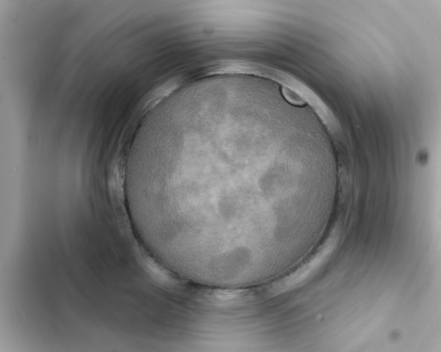 X0000102410857200808152004