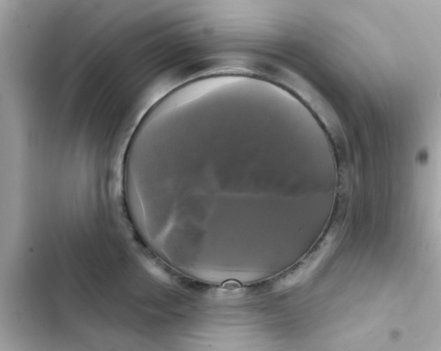 X0000102410858200808152004