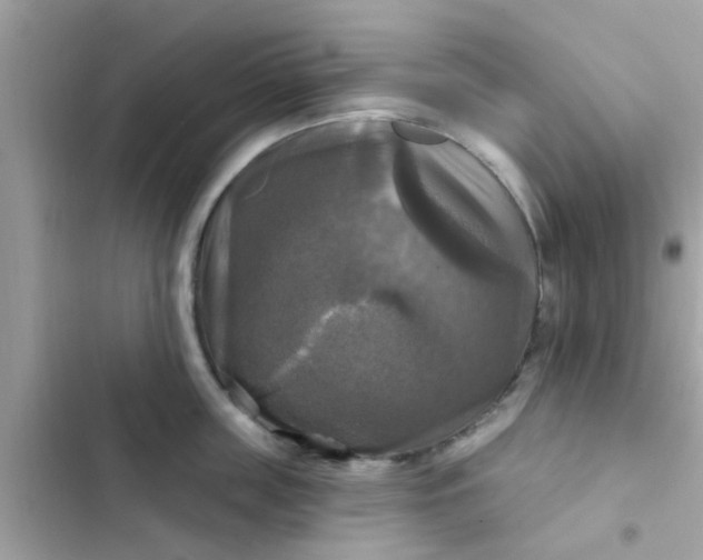 X0000102410859200808152004