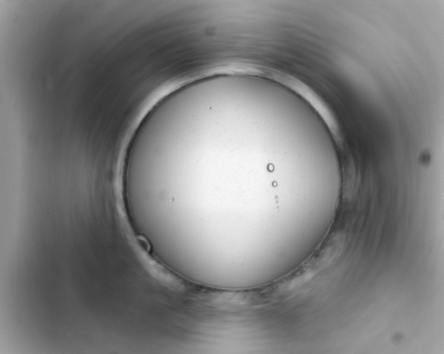 X0000102410861200808152004