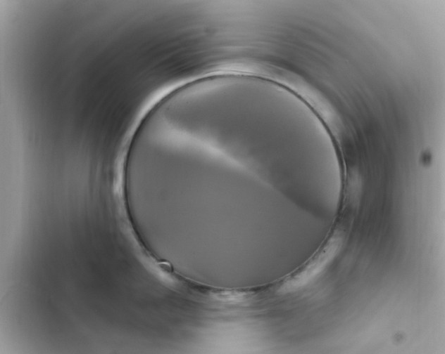 X0000102410862200808152004