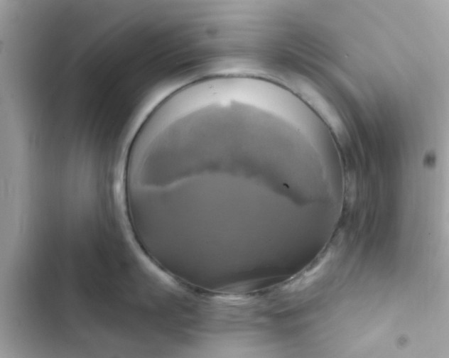 X0000102410863200808152004