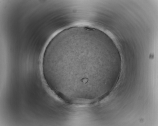 X0000102410864200808152004