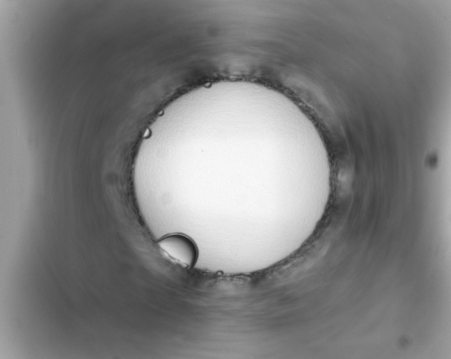 X0000102410865200808152003