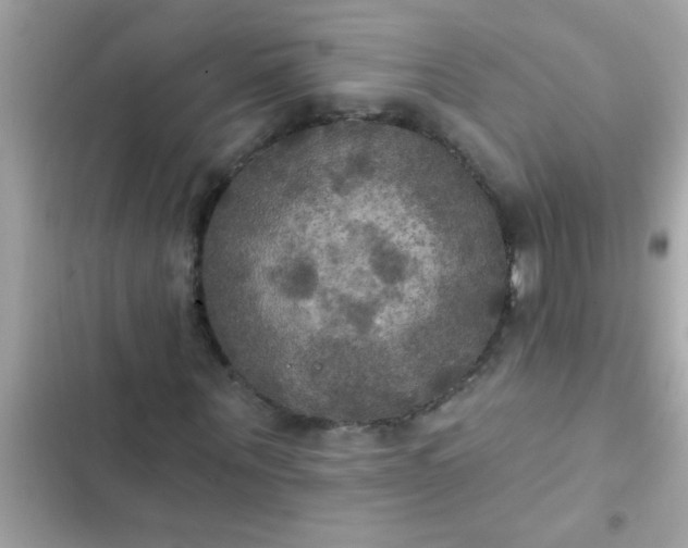 X0000102410867200808152003