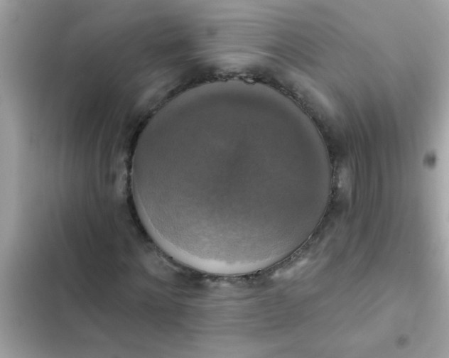 X0000102410868200808152003