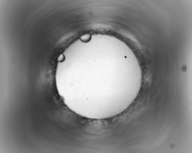 X0000102410869200808152003