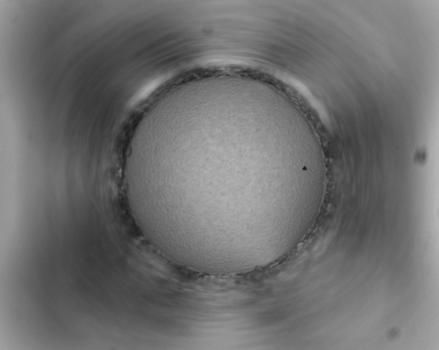 X0000102410871200808152003