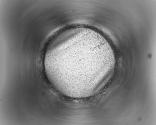 X0000102410872200808152003