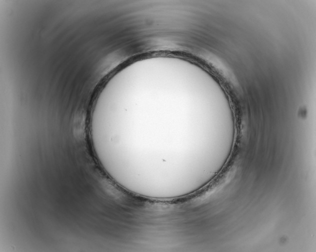 X0000102410873200808152003