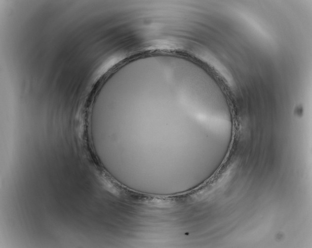 X0000102410874200808152003