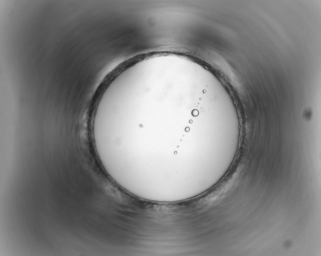 X0000102410875200808152003