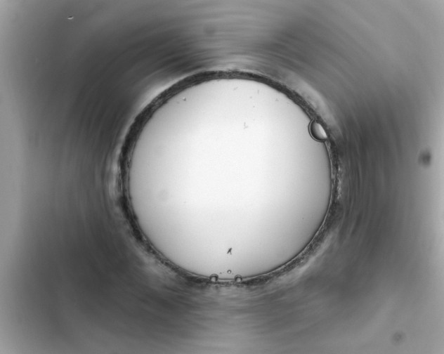 X0000102410876200808152003