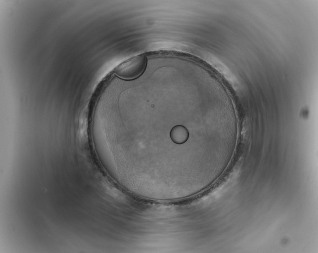 X0000102410877200808152003