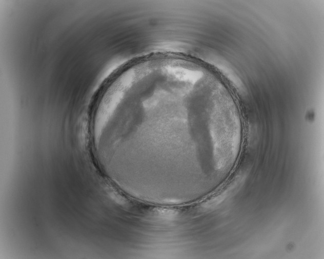 X0000102410878200808152003