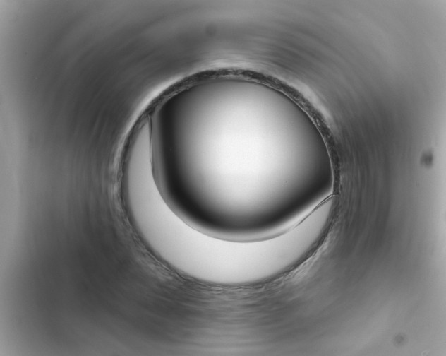 X0000102410879200808152003