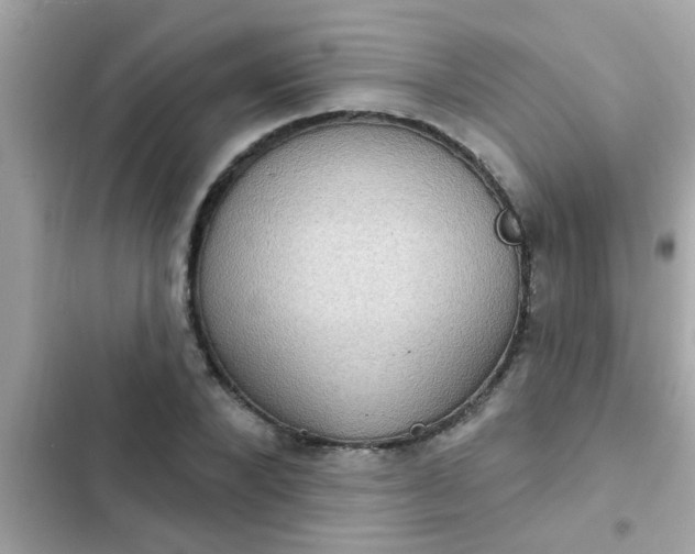 X0000102410880200808152003