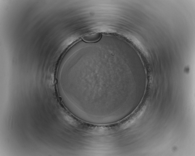 X0000102410881200808152003