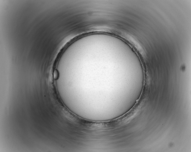 X0000102410883200808152003