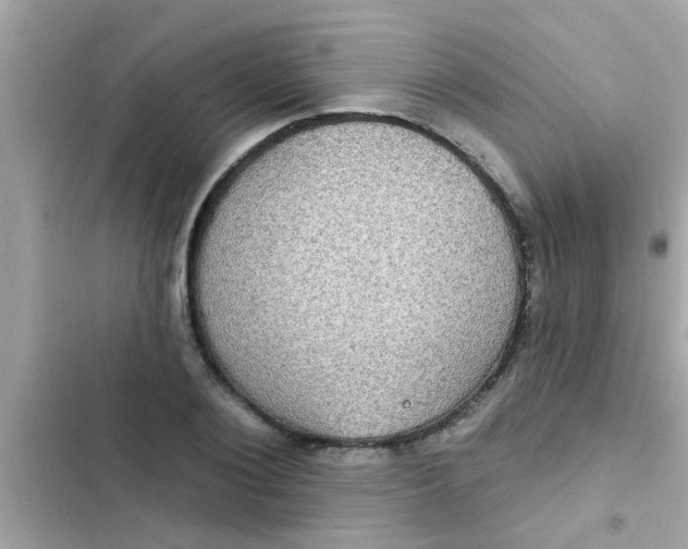 X0000102410884200808152003