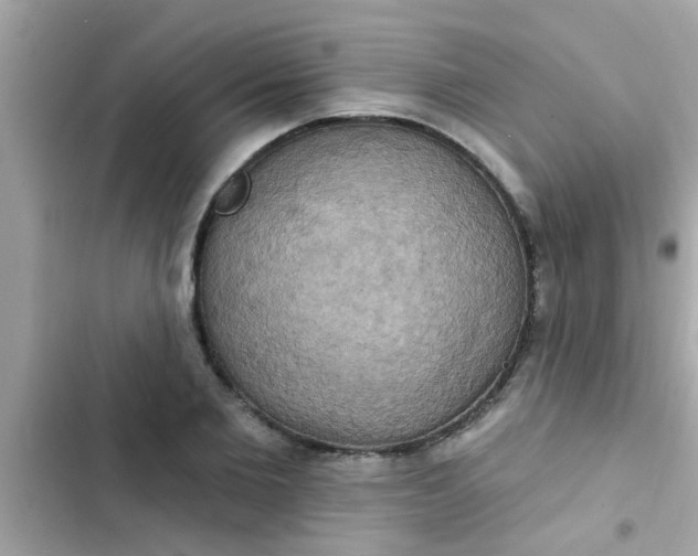 X0000102410885200808152003