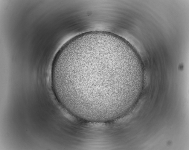 X0000102410886200808152003