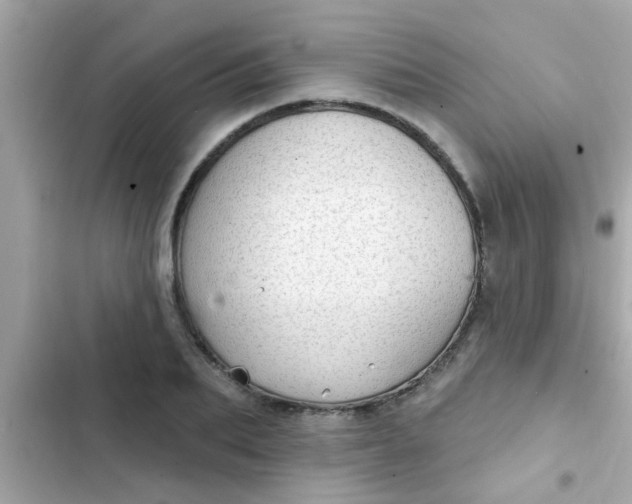 X0000102410887200808152003