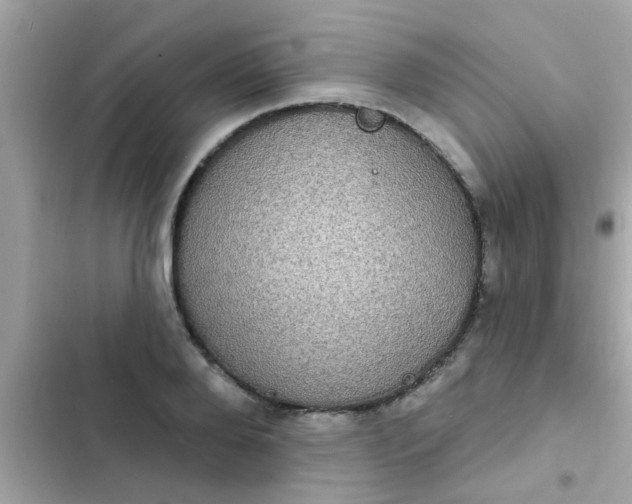 X0000102410888200808152003