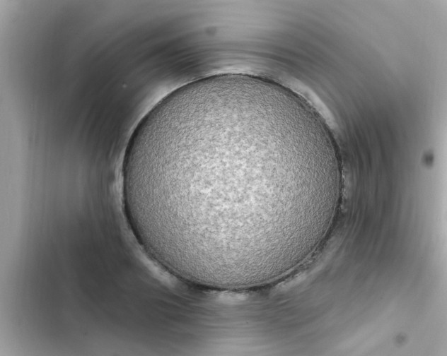 X0000102410890200808152003