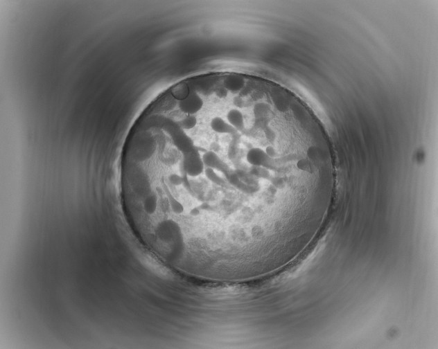 X0000102410891200808152003