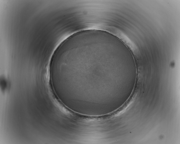 X0000102410892200808152003