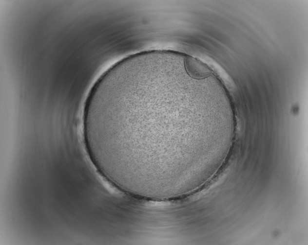 X0000102410894200808152003