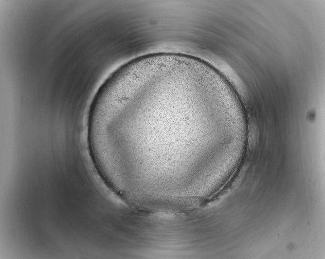 X0000102410896200808152003