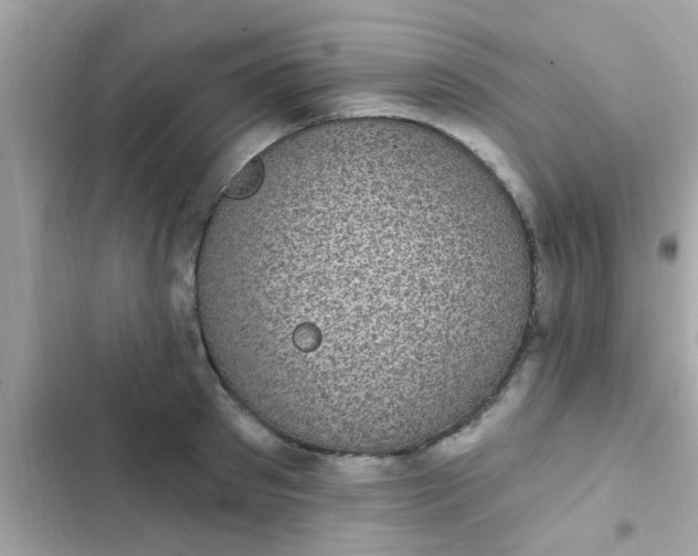 X0000102410897200808152003