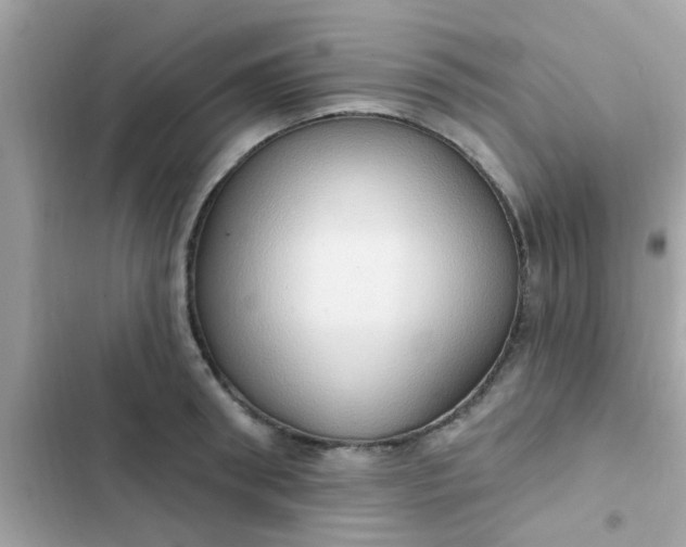 X0000102410898200808152003