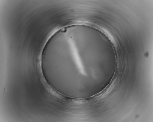 X0000102410899200808152003